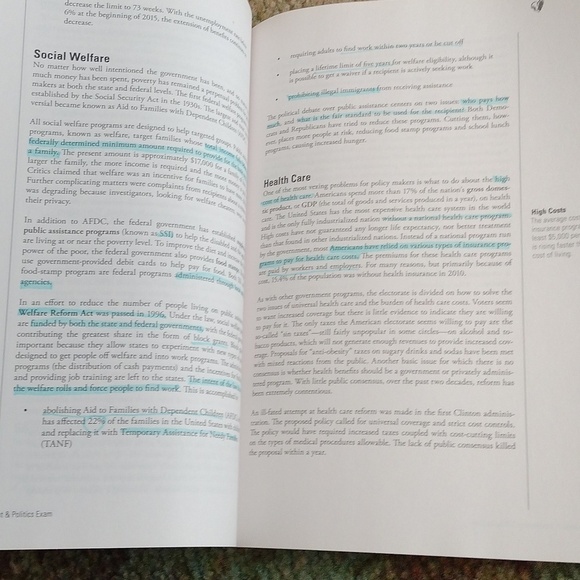 AP U.S. Government + English Literature & Composition Books + Flashcards - Picture 4 of 16